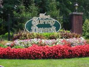 over 55 surrey downs howell homes for sale